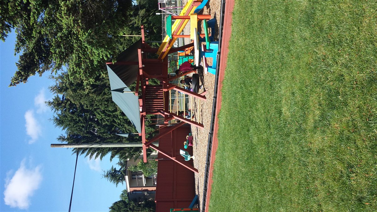 Playground climbing structure and green space
